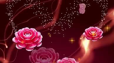 牡丹花背景视频素材视频的预览图